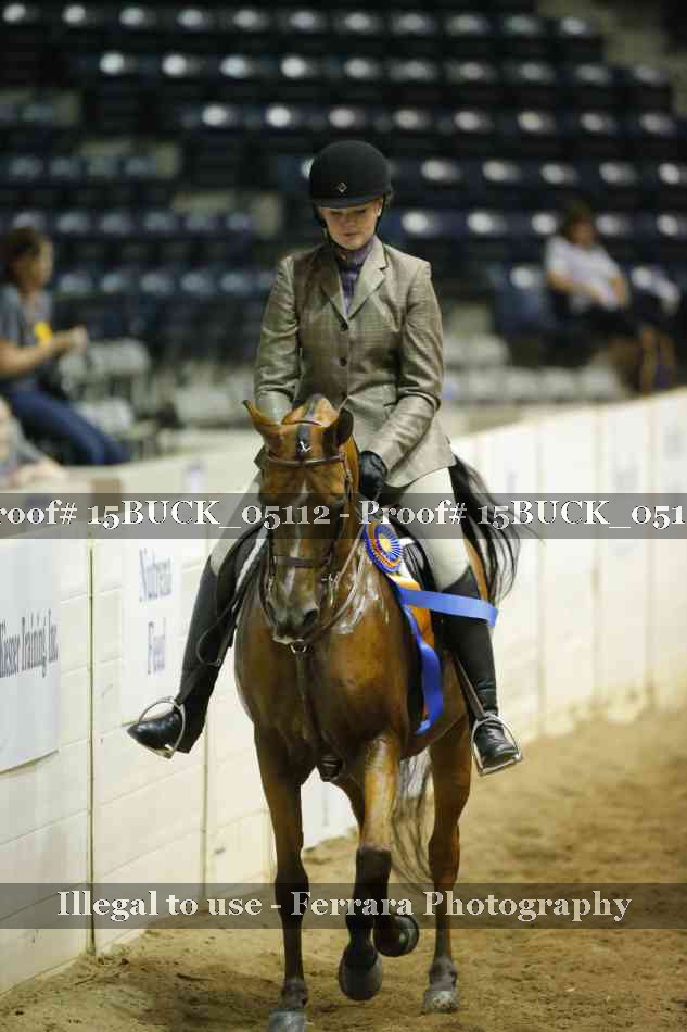 Proof Number 15BUCK_05112