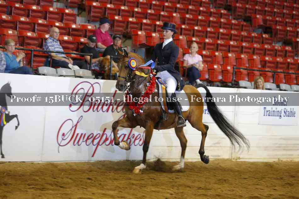 Proof Number 15BUCK_05151