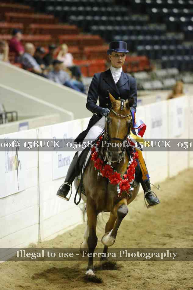 Proof Number 15BUCK_05158