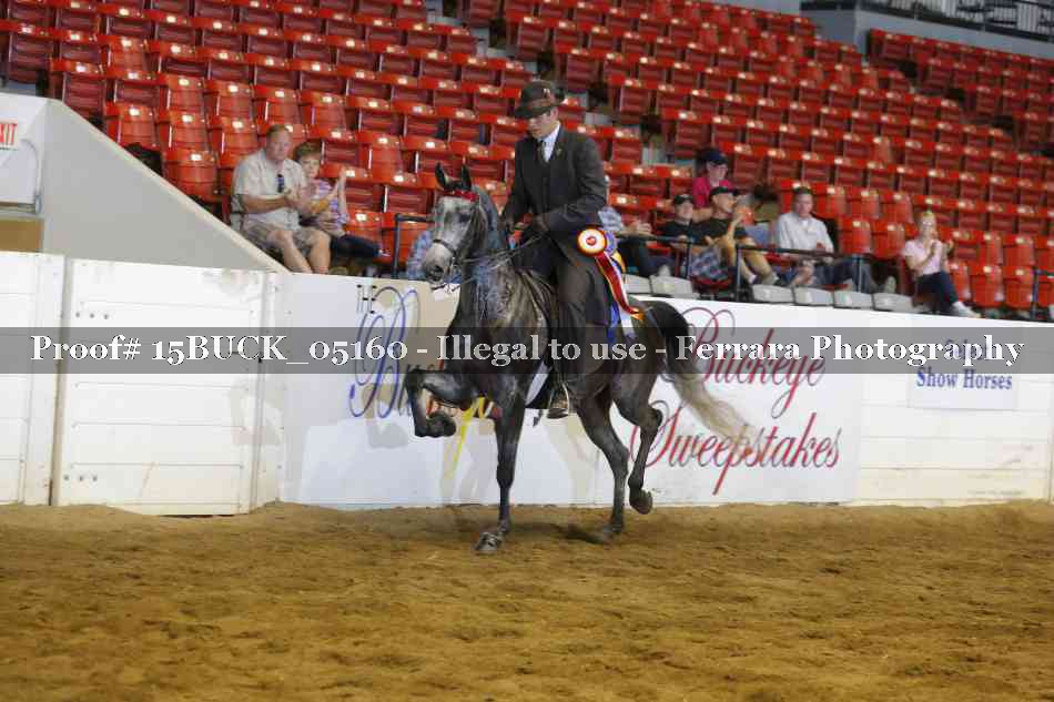 Proof Number 15BUCK_05160