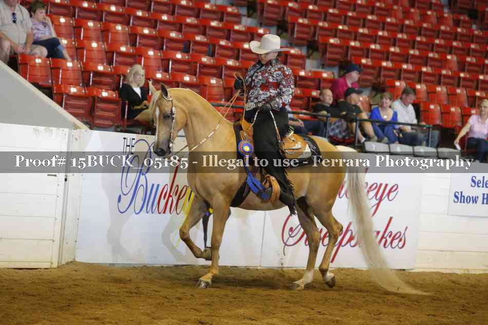 Proof Number 15BUCK_05185