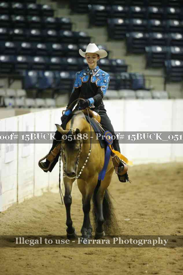 Proof Number 15BUCK_05188