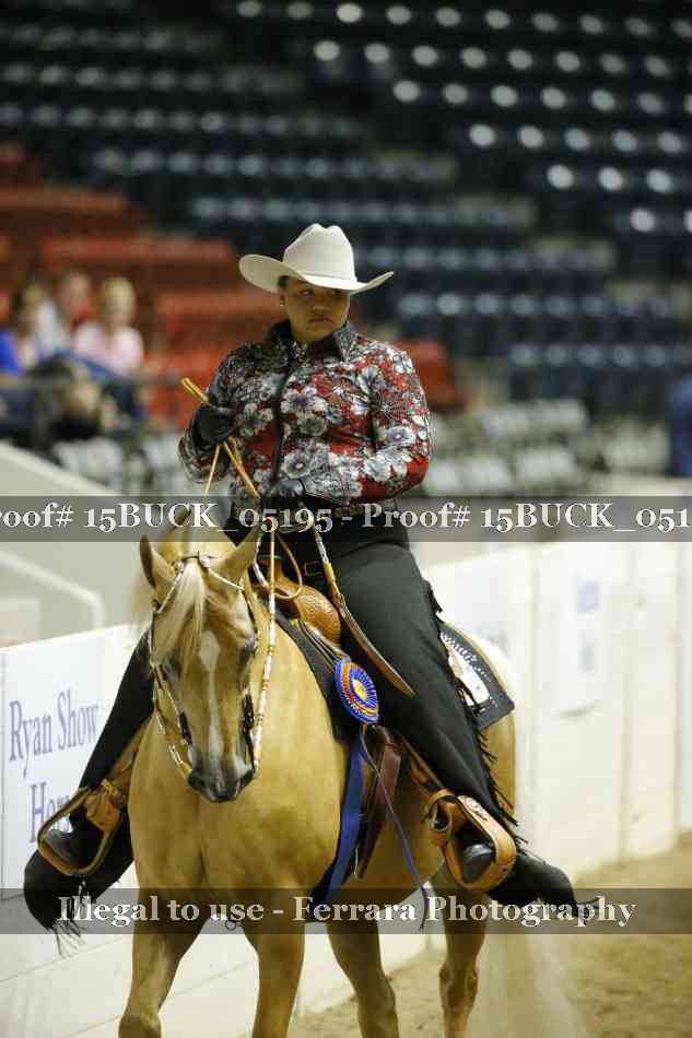 Proof Number 15BUCK_05195