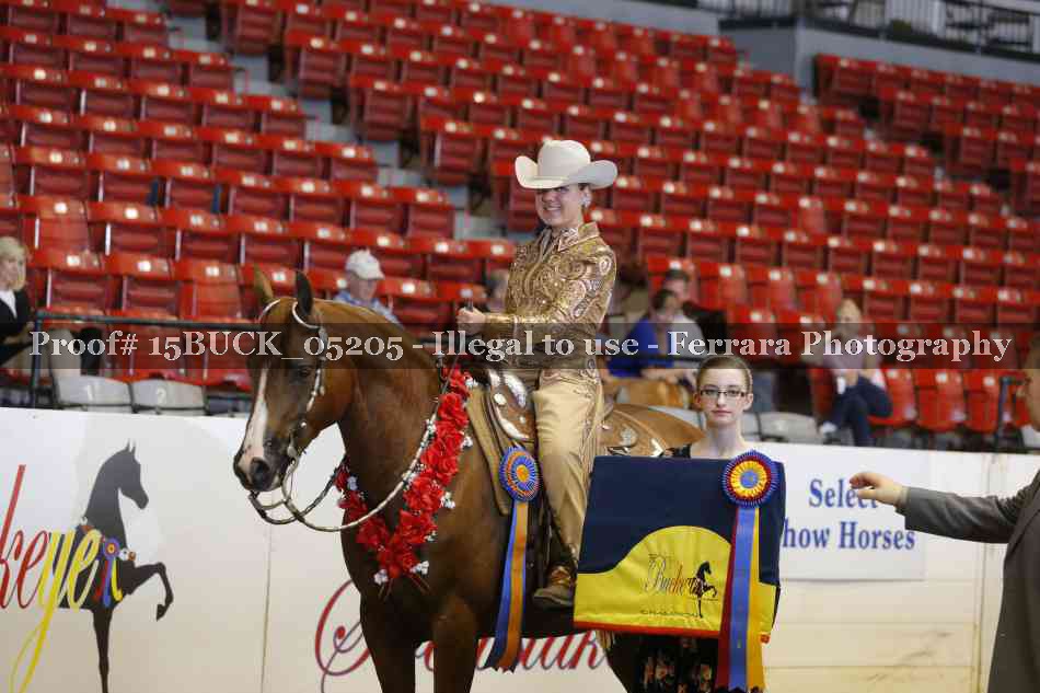 Proof Number 15BUCK_05205