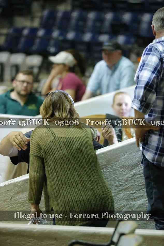 Proof Number 15BUCK_05206