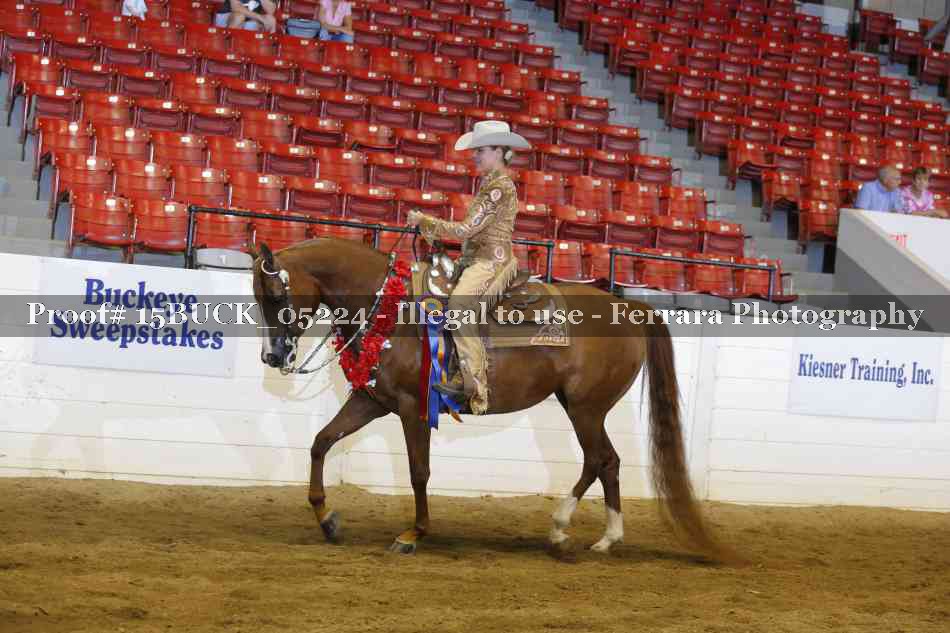 Proof Number 15BUCK_05224