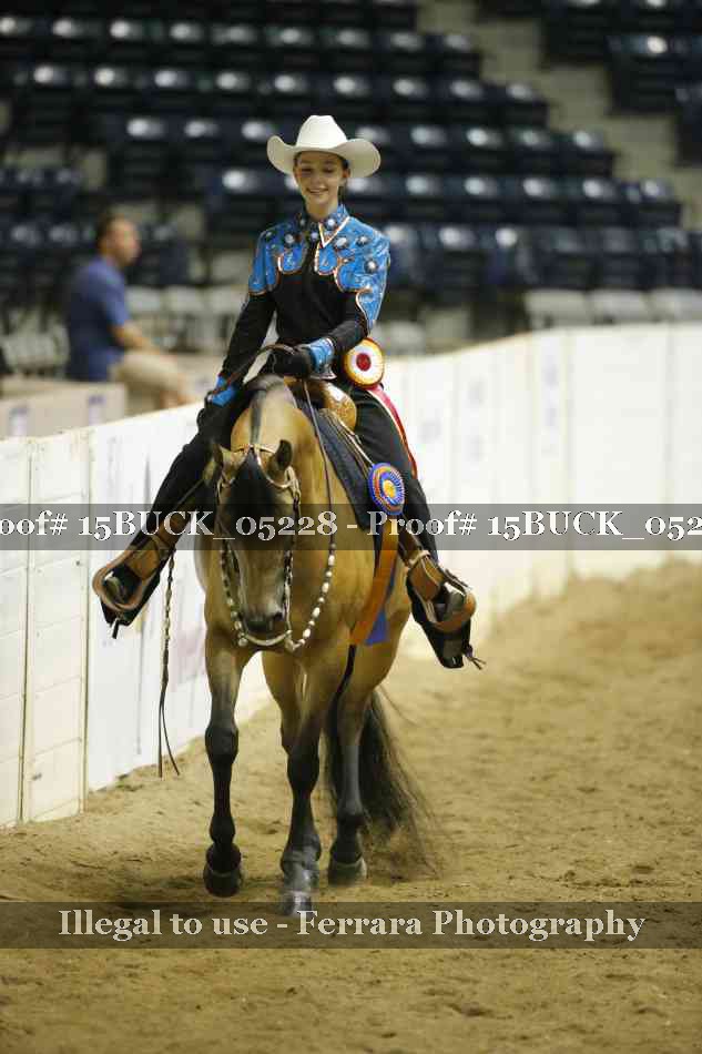 Proof Number 15BUCK_05228