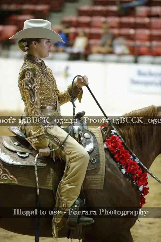 Proof Number 15BUCK_05242