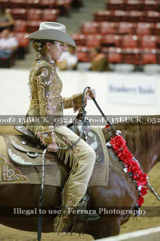 Proof Number 15BUCK_05243
