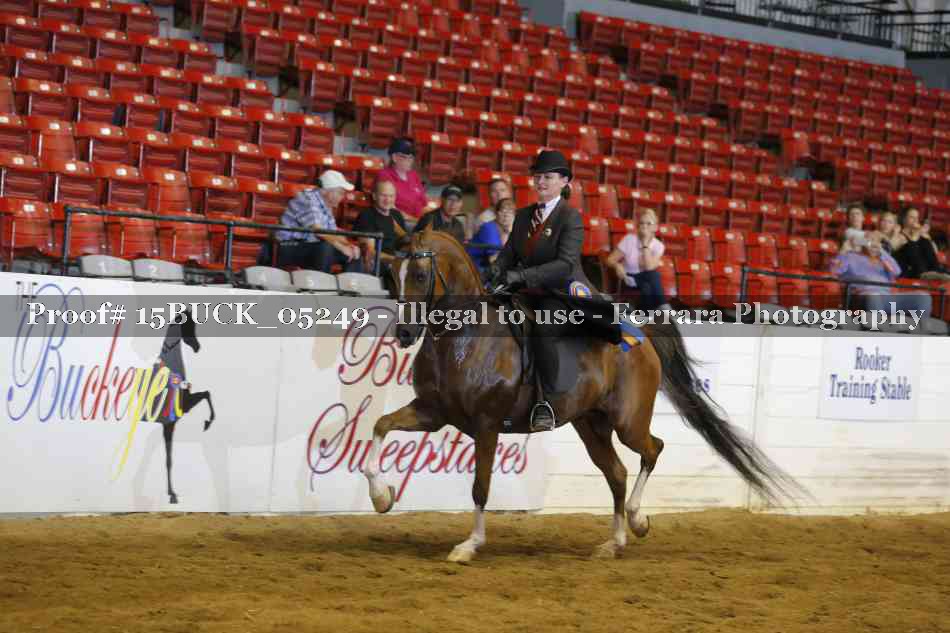 Proof Number 15BUCK_05249