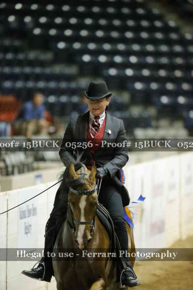 Proof Number 15BUCK_05256