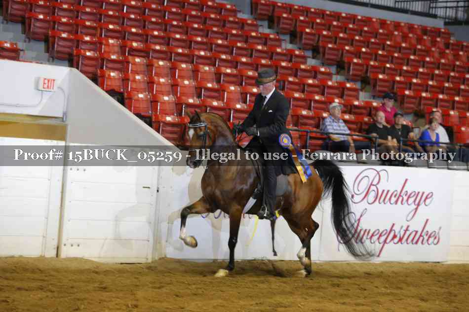 Proof Number 15BUCK_05259