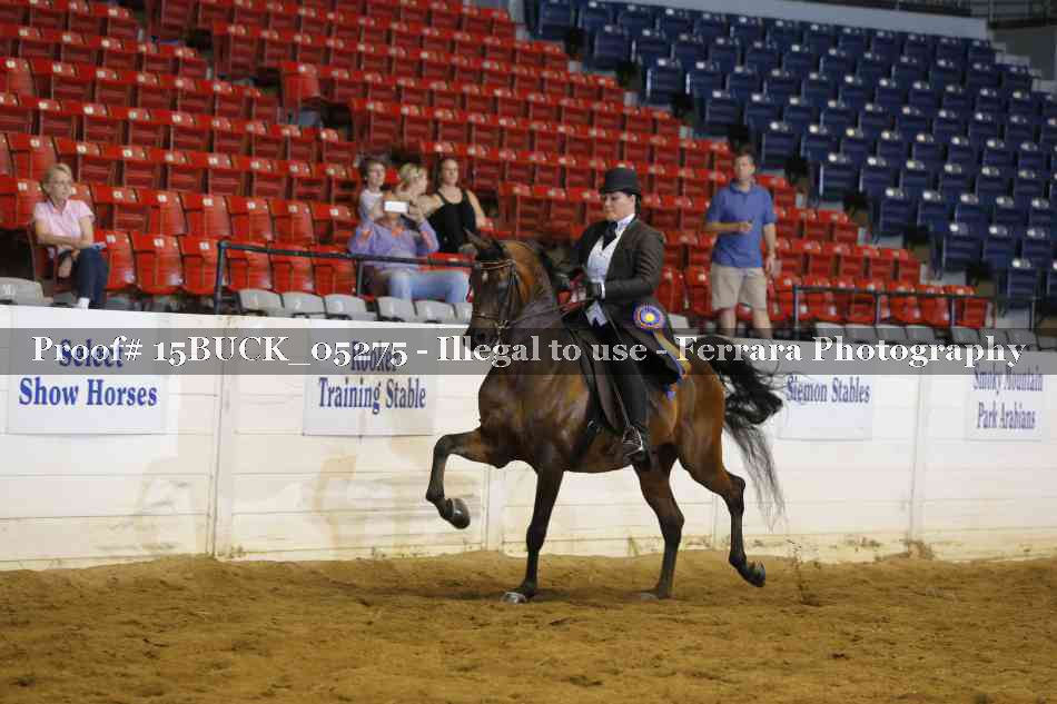Proof Number 15BUCK_05275