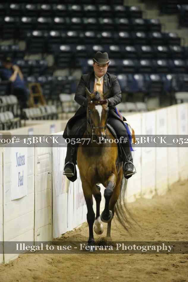 Proof Number 15BUCK_05277