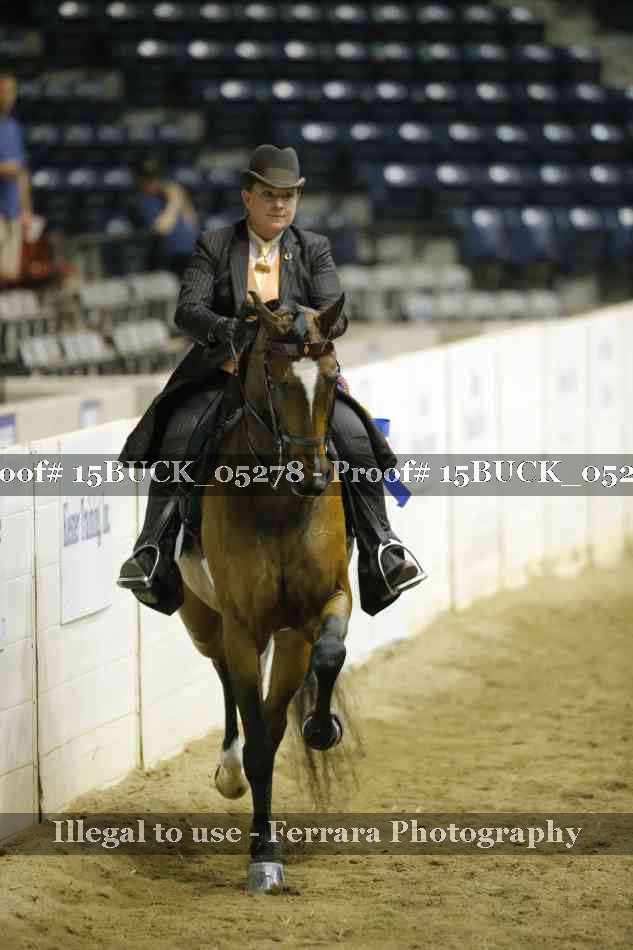 Proof Number 15BUCK_05278