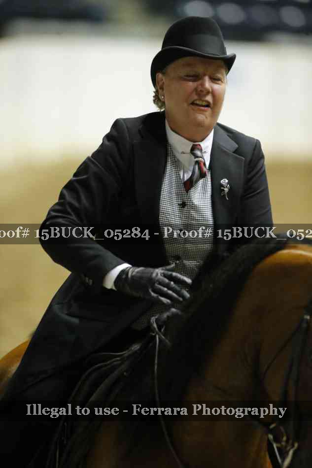 Proof Number 15BUCK_05284