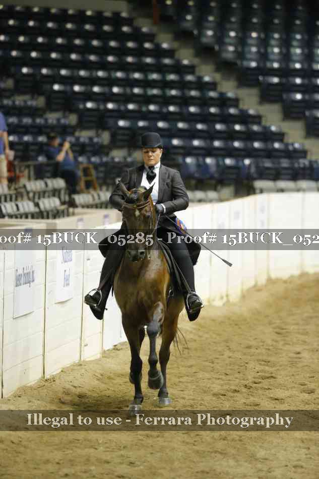 Proof Number 15BUCK_05285