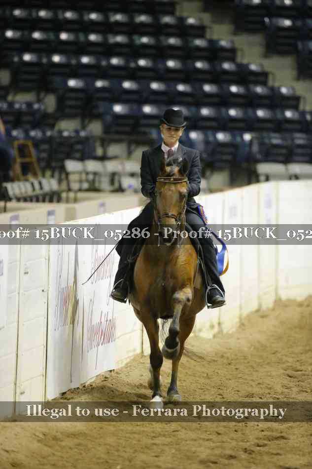 Proof Number 15BUCK_05286