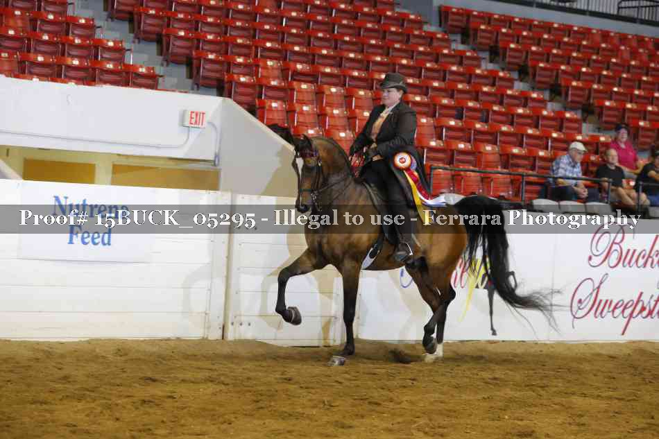 Proof Number 15BUCK_05295