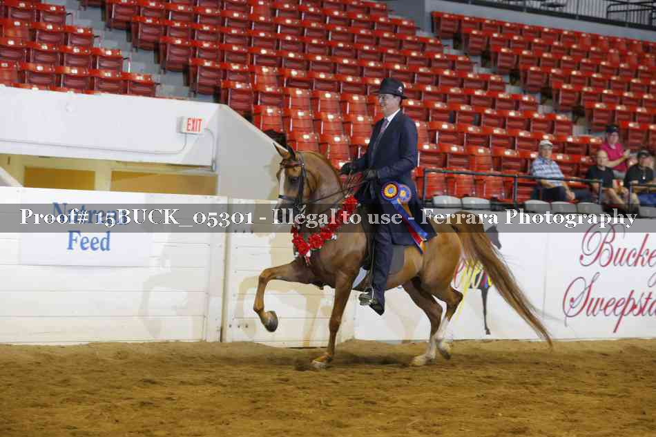 Proof Number 15BUCK_05301
