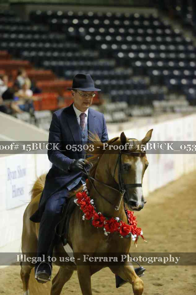 Proof Number 15BUCK_05303