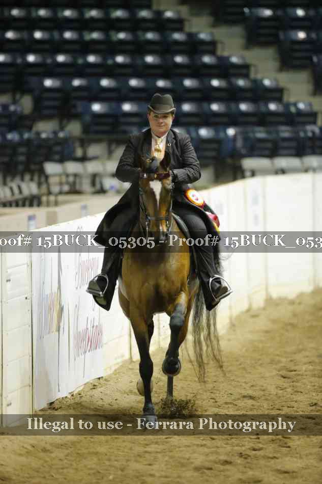 Proof Number 15BUCK_05305