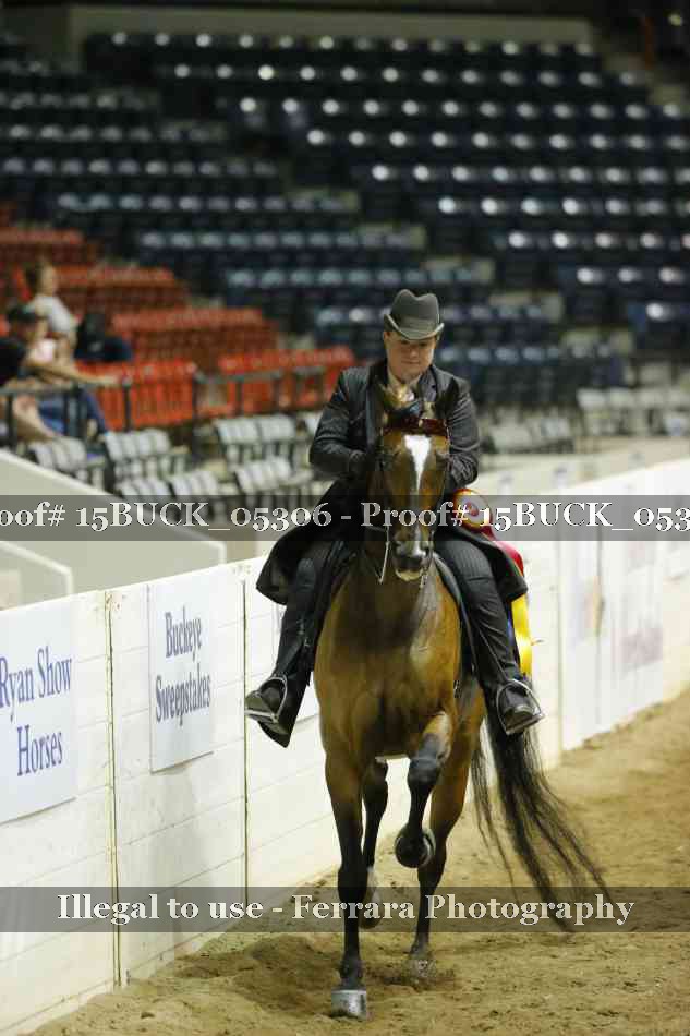 Proof Number 15BUCK_05306
