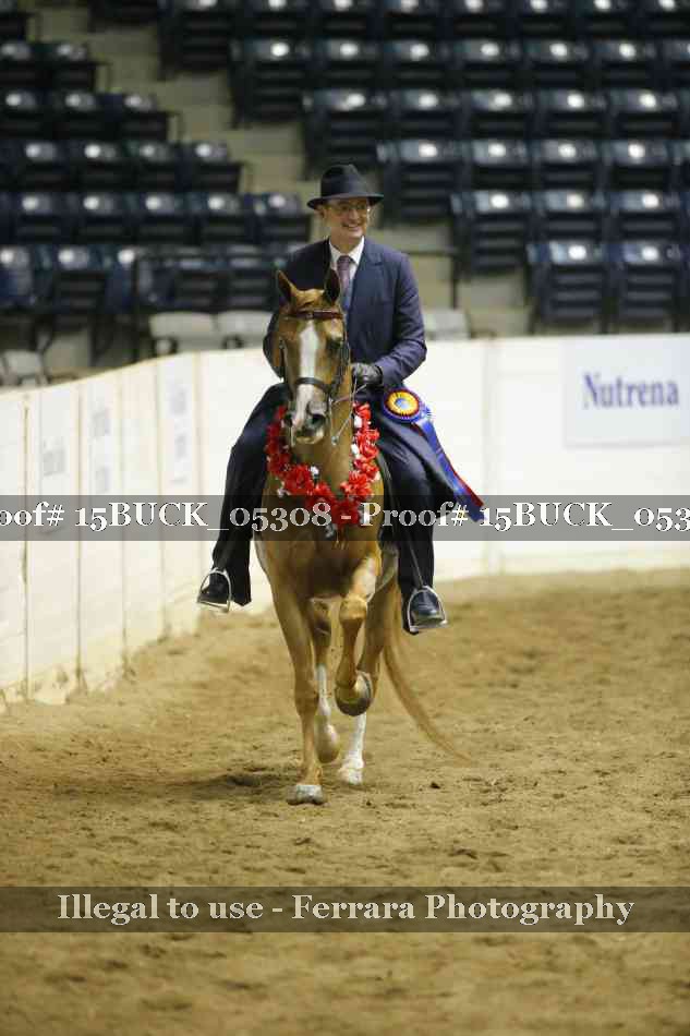 Proof Number 15BUCK_05308