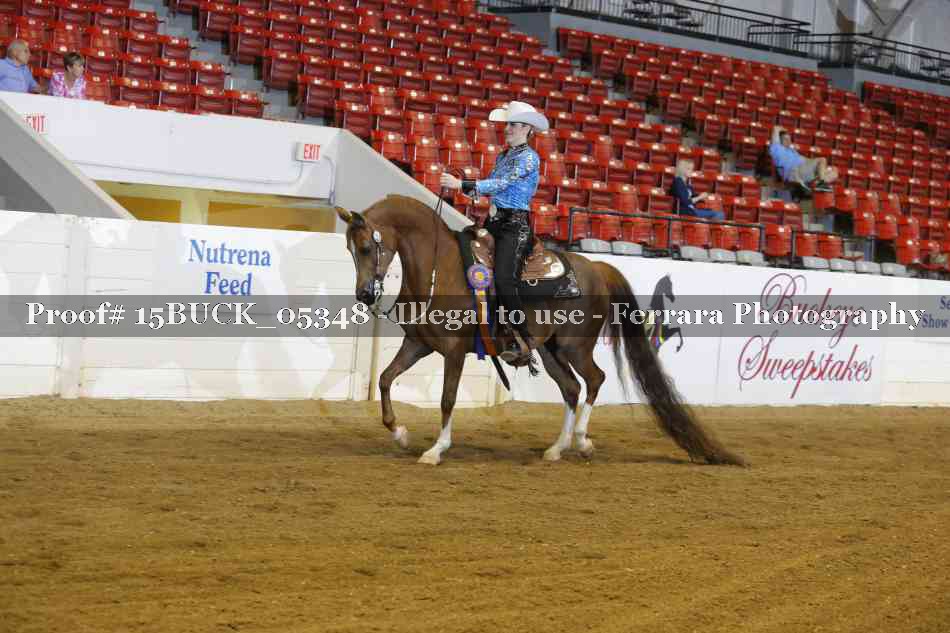 Proof Number 15BUCK_05348