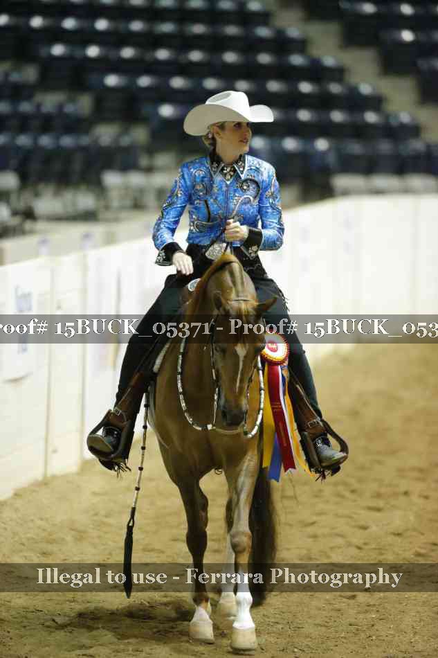 Proof Number 15BUCK_05371