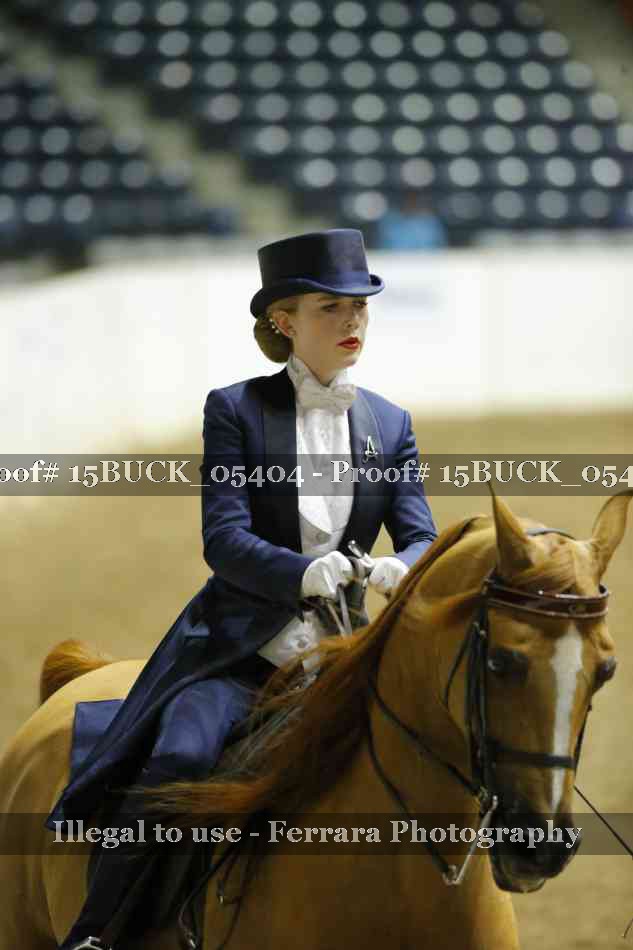 Proof Number 15BUCK_05404