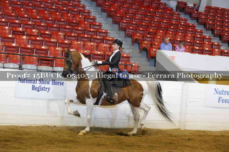 Proof Number 15BUCK_05405
