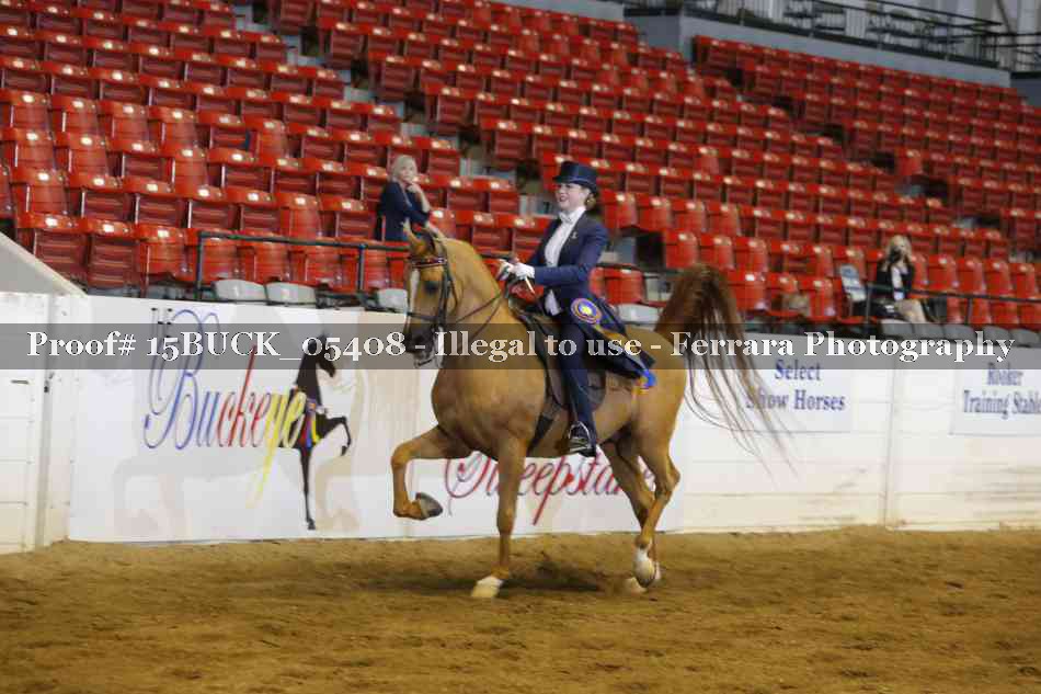 Proof Number 15BUCK_05408