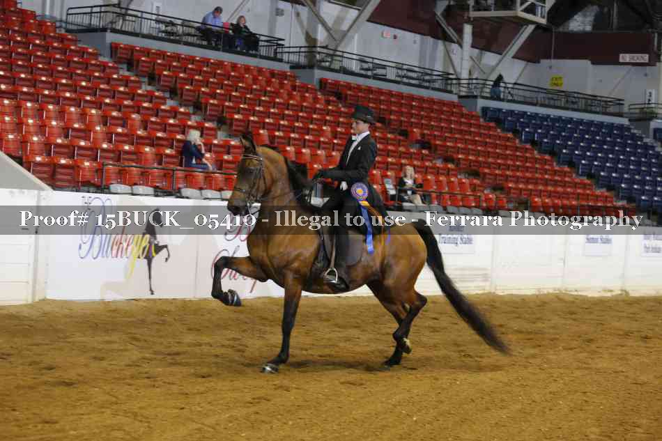 Proof Number 15BUCK_05410