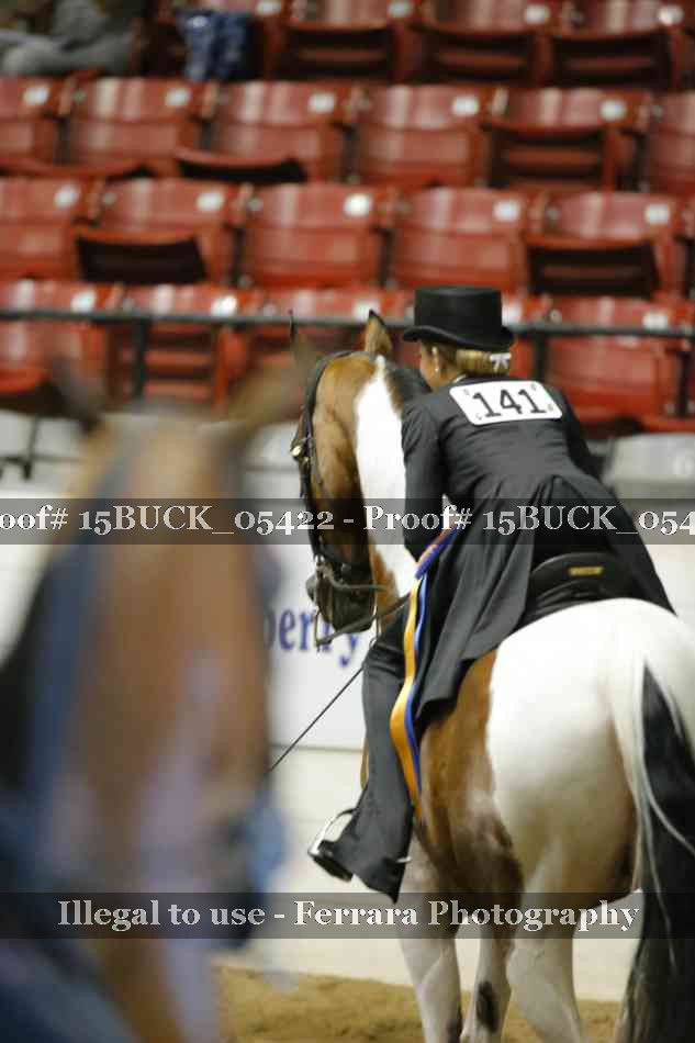 Proof Number 15BUCK_05422