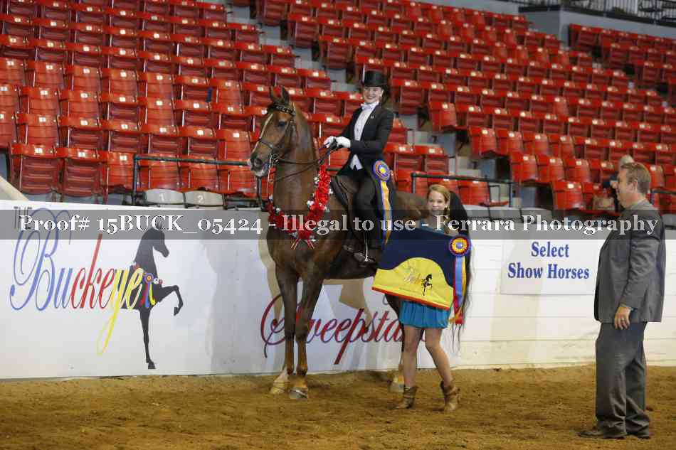 Proof Number 15BUCK_05424