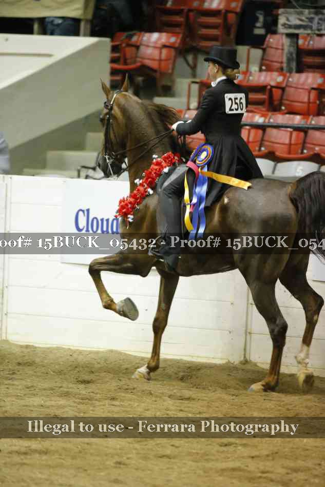 Proof Number 15BUCK_05432