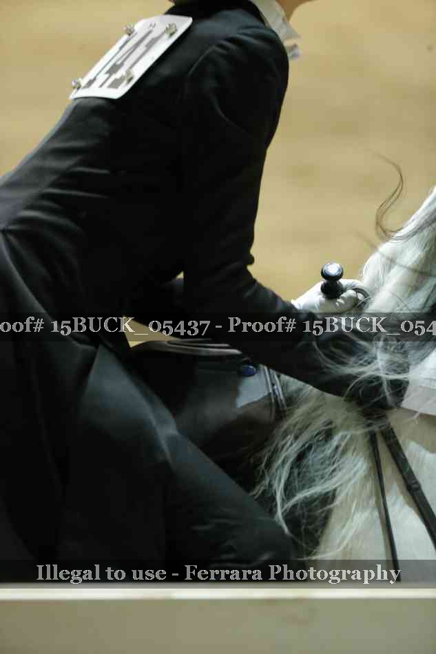 Proof Number 15BUCK_05437
