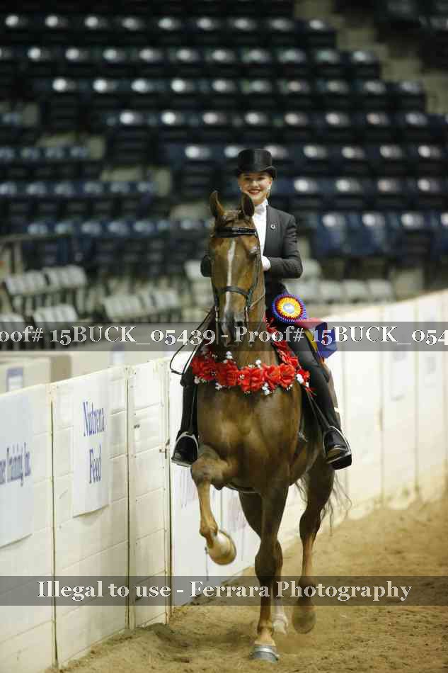 Proof Number 15BUCK_05439
