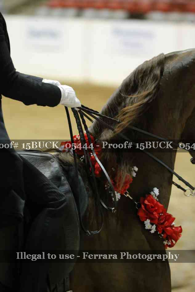 Proof Number 15BUCK_05444