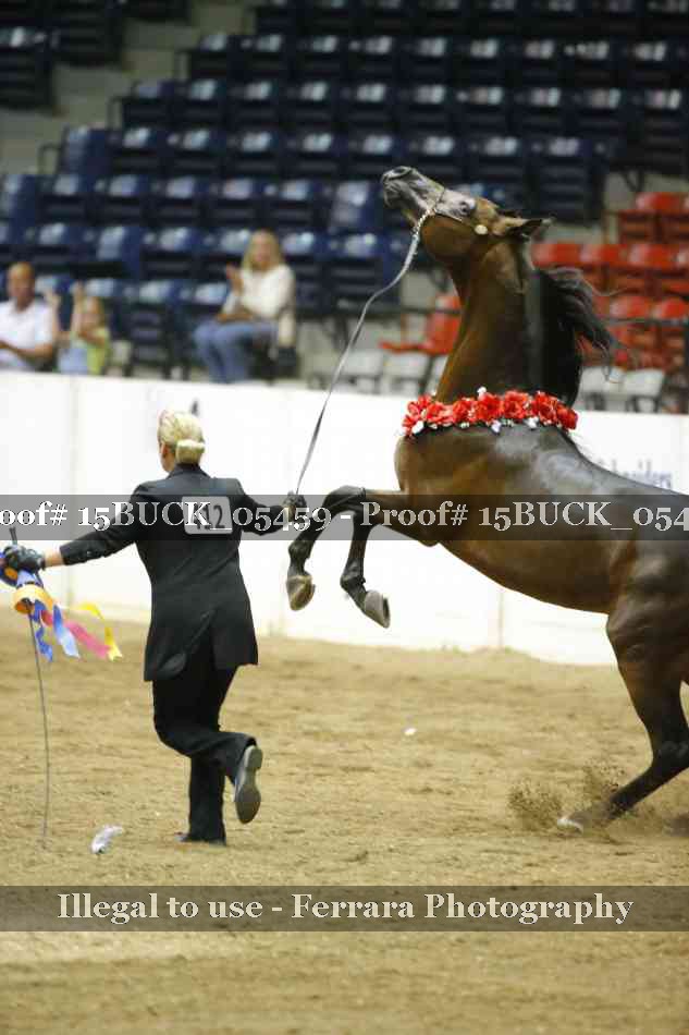 Proof Number 15BUCK_05459