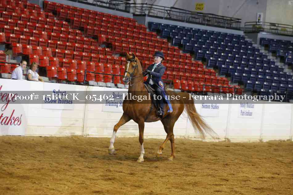 Proof Number 15BUCK_05462