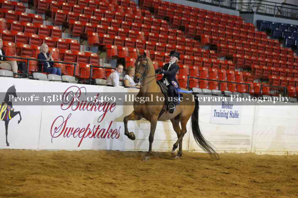Proof Number 15BUCK_05469