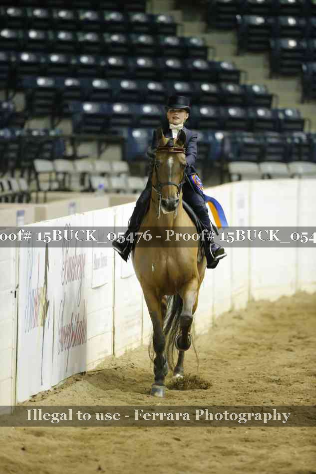 Proof Number 15BUCK_05476