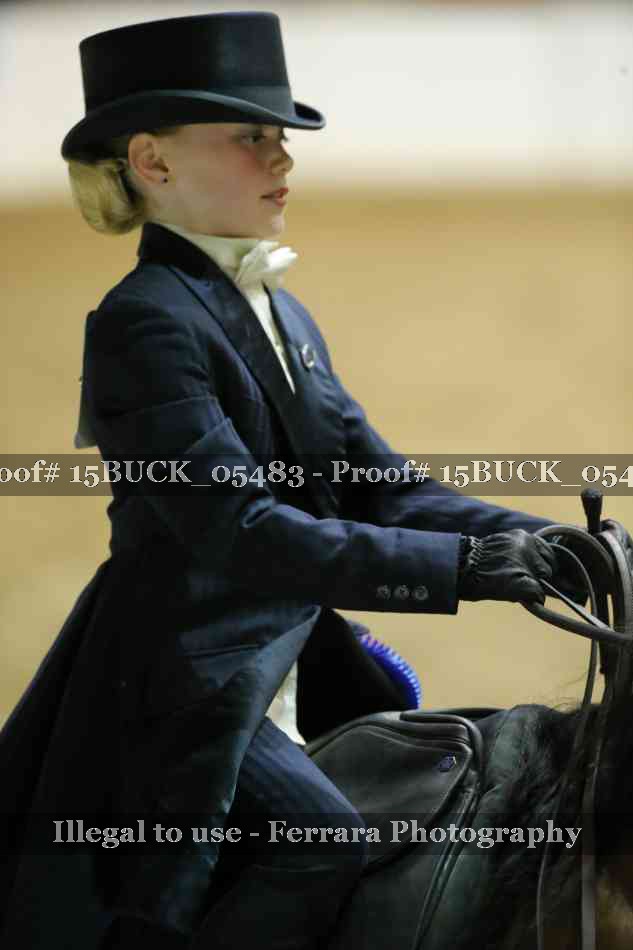 Proof Number 15BUCK_05483