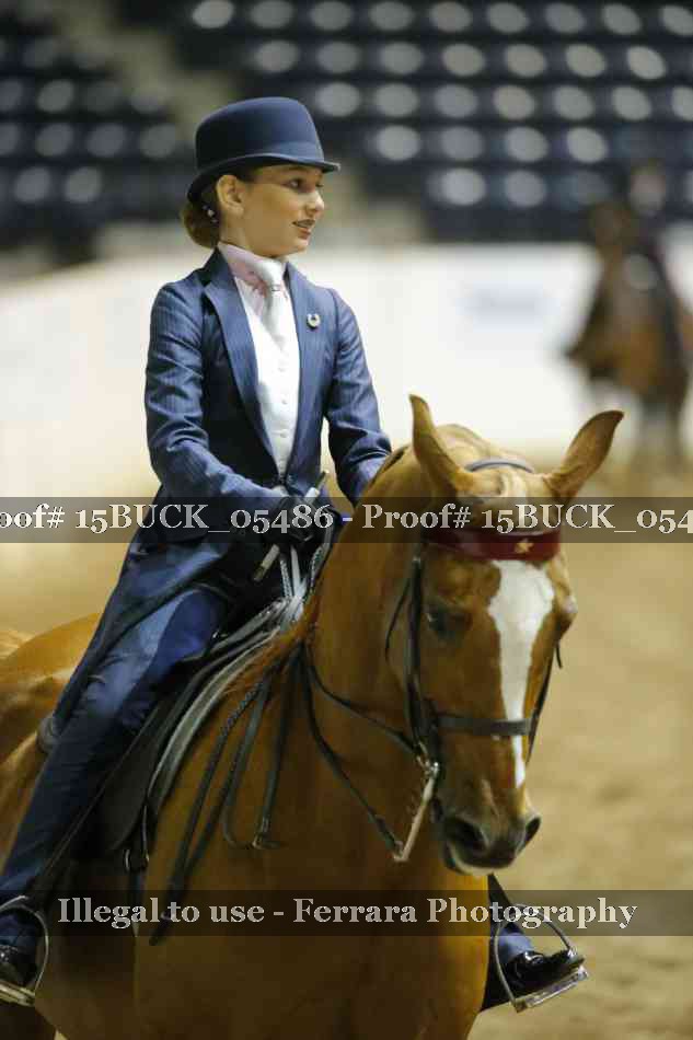 Proof Number 15BUCK_05486