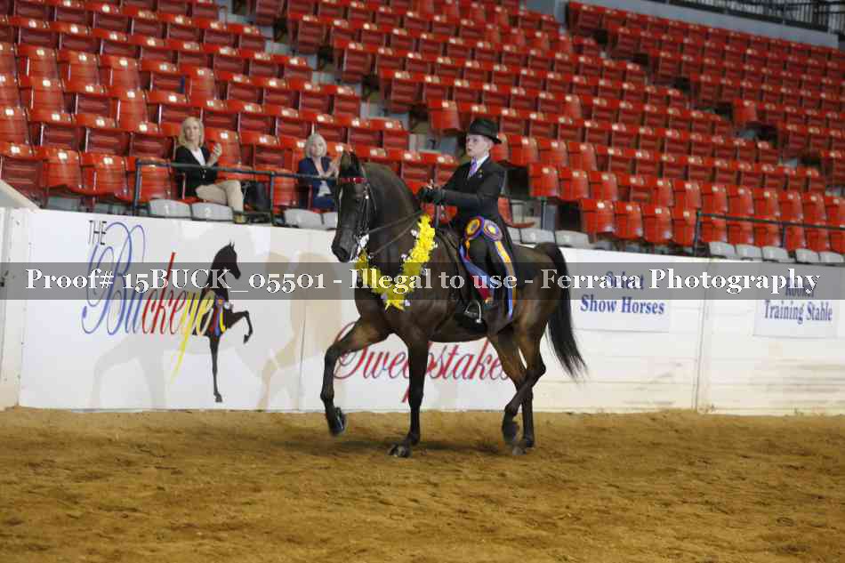 Proof Number 15BUCK_05501