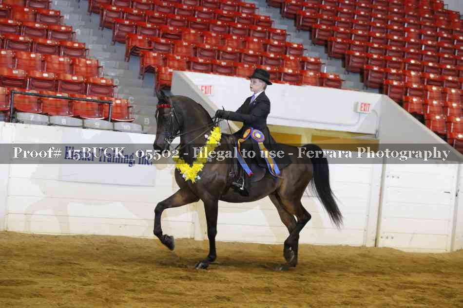 Proof Number 15BUCK_05502