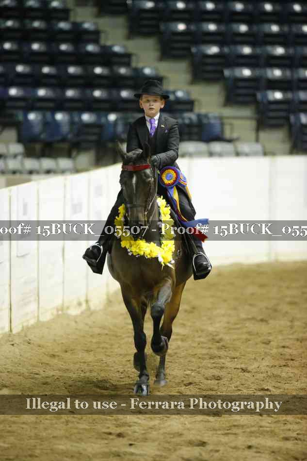 Proof Number 15BUCK_05507