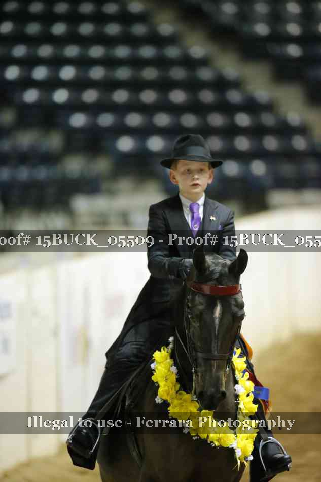 Proof Number 15BUCK_05509